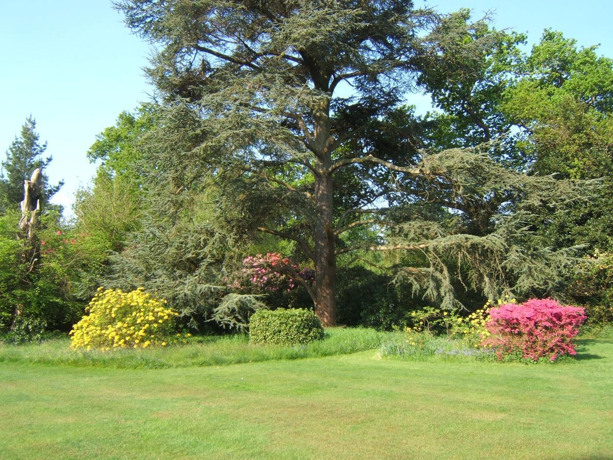Hollybank House Emsworth Exterior foto
